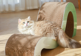 怎样防止猫咪用爪子破坏家具？