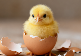 一个小故事帮你明白，矛盾论的知识点