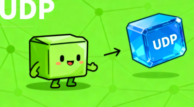 从直播到大型网络游戏：UDP 协议撑起实时传输半边天