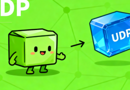 从直播到大型网络游戏：UDP 协议撑起实时传输半边天