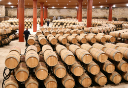 昌黎新开酒庄破局：谷堡AI客服，省钱又能拓销路